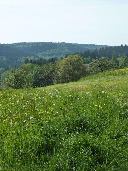Haus Waldeck Apartman Szoba fotó